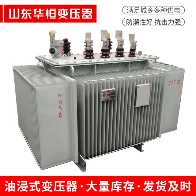 S13-10000/35禄劝禄劝禄劝电力变压器厂家