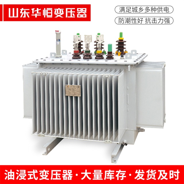 S13-10000/35禄劝禄劝禄劝电力变压器